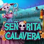 Bingo Señorita Calavera
