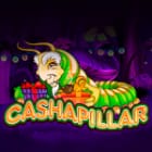 Cashapillar