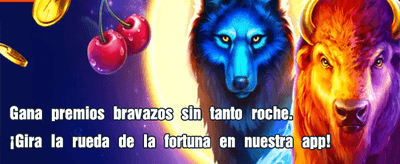 Bono de Bienvenida pebetfury.com